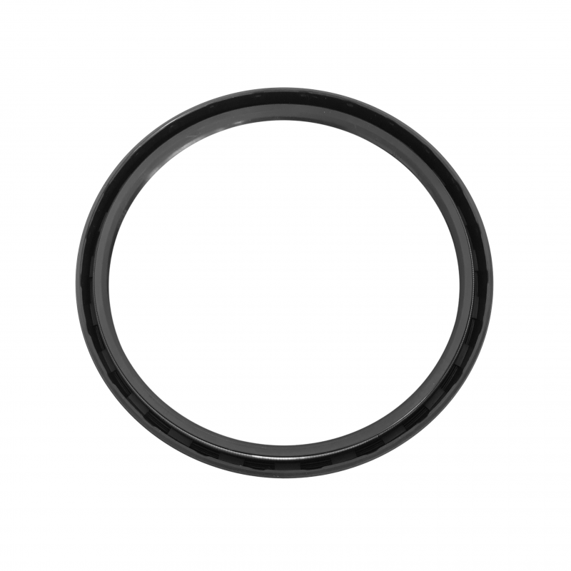 Seal 145/165x13