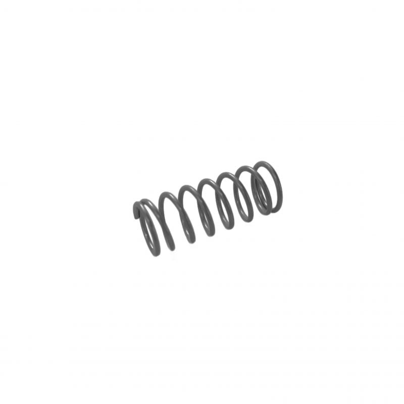 Compression spring