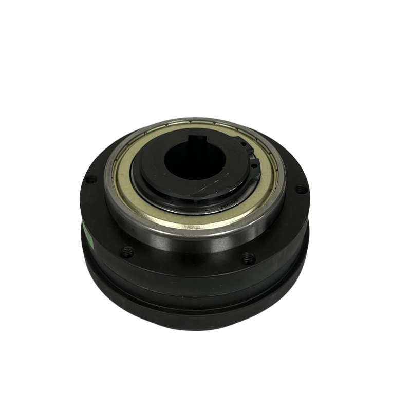 Torque limiter