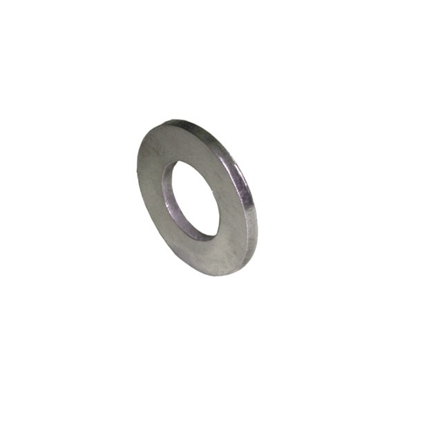 S.S. flat washer M12 special