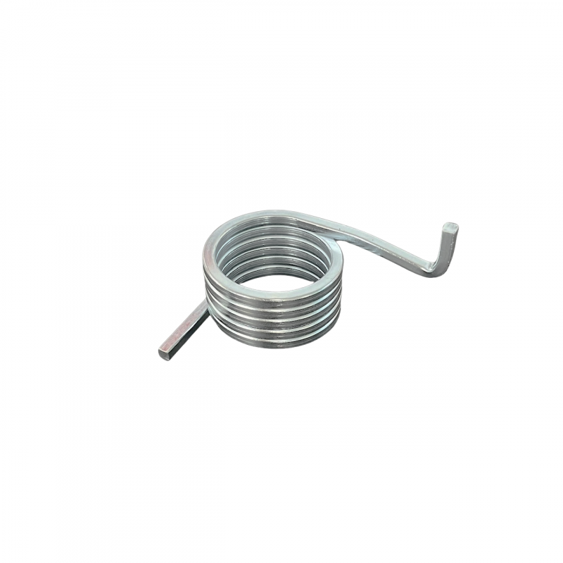 Torsion spring