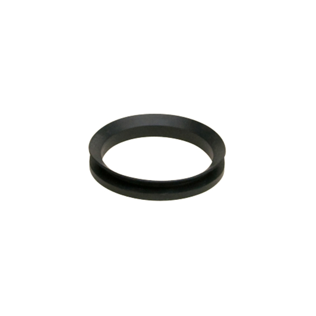 Sealing V-ring