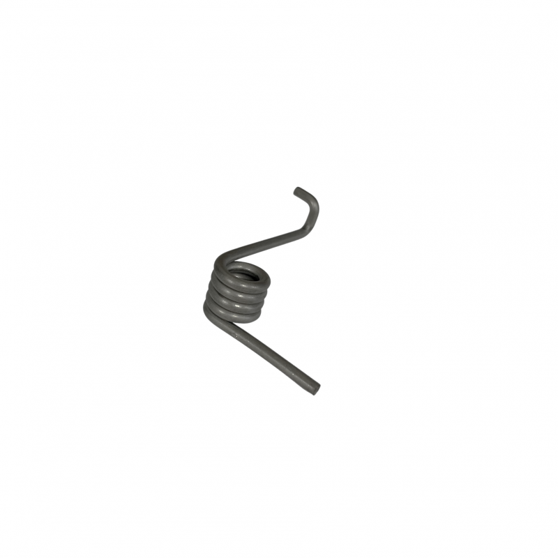 Torsion spring