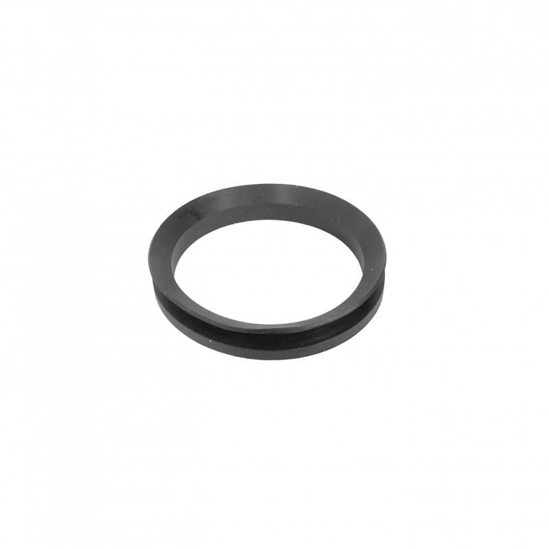Sealing V-ring