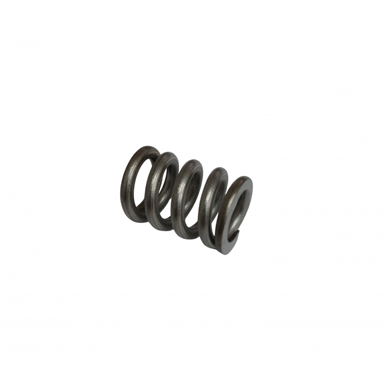 Compression Spring D-309