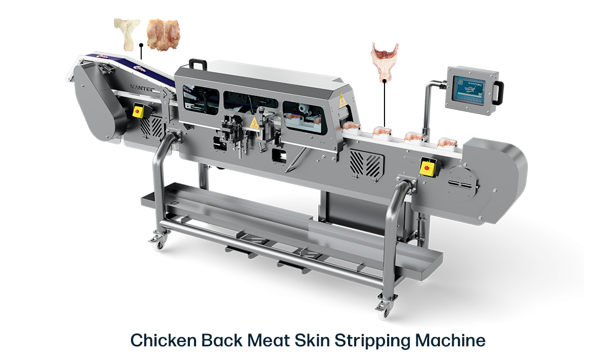 Chicken Back Meat Skin and Meat Separation Machine | Kelebec 3.0