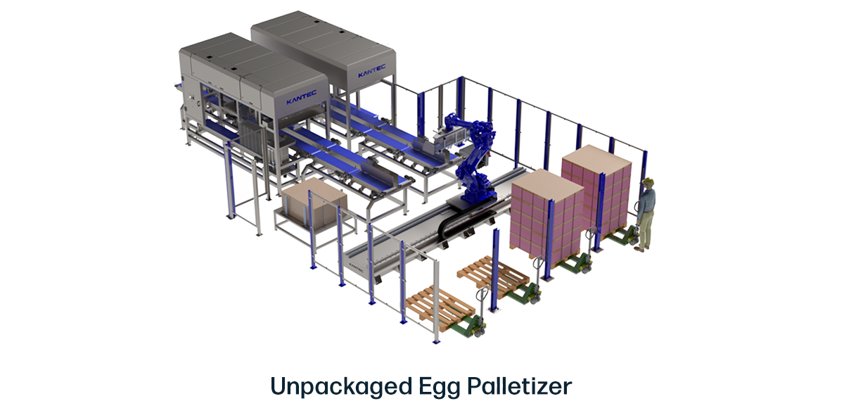 Unpackaged Egg Palletizer