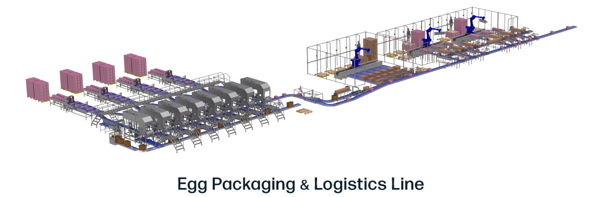 Egg Packaging and Logistics Line
